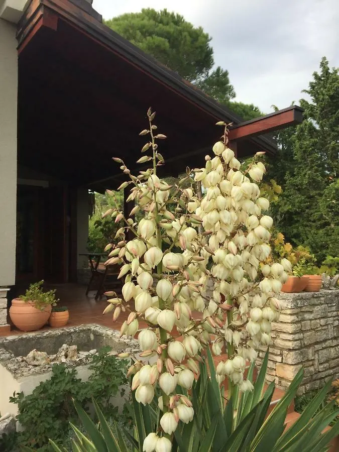 House Giovanni Premantura Holiday home